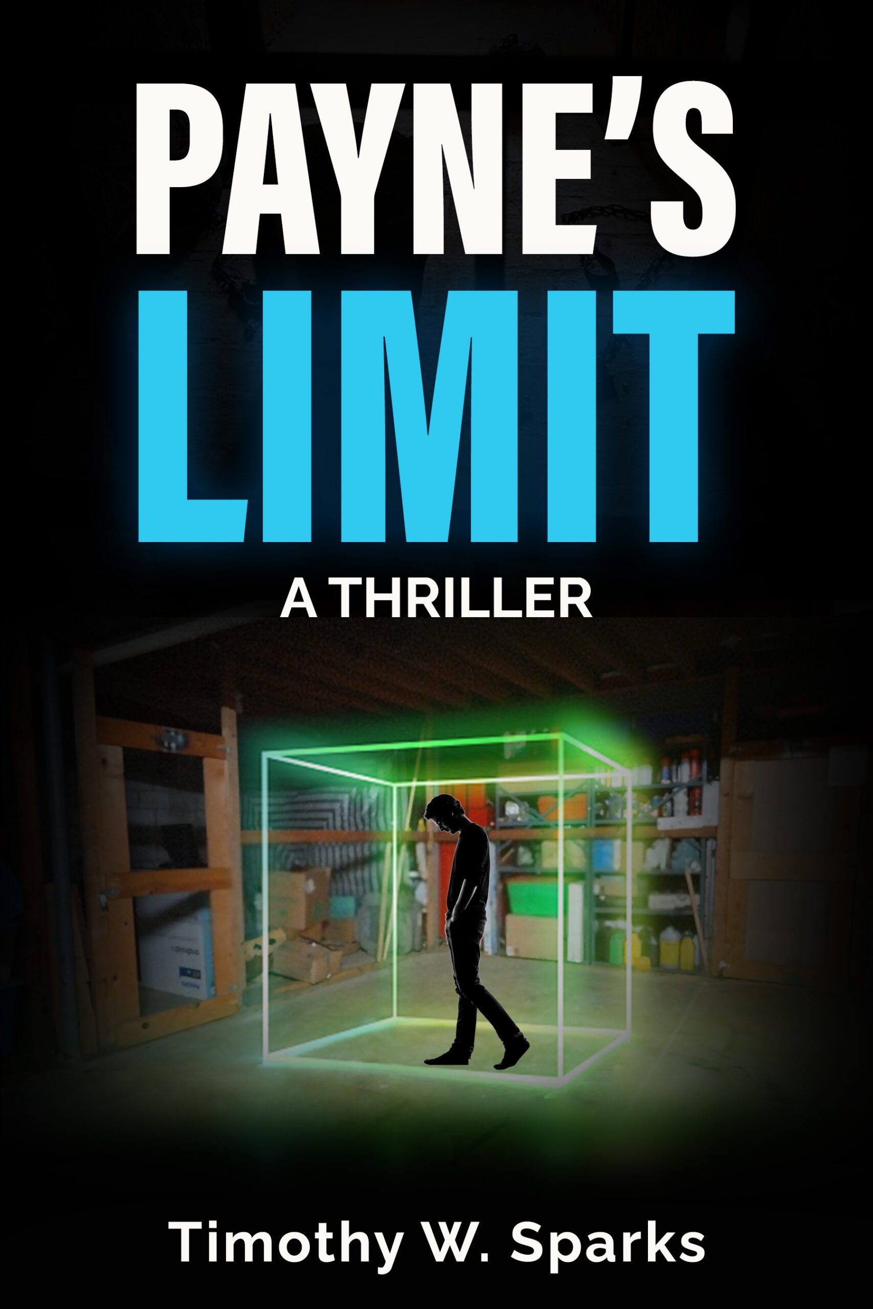 Payne's Limit A Thriller